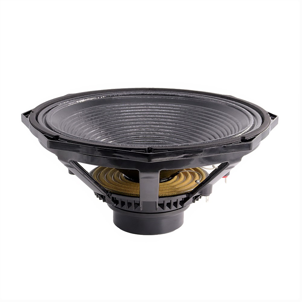Professional Audio 600W 15 Inc - огляд і ціна Speakers